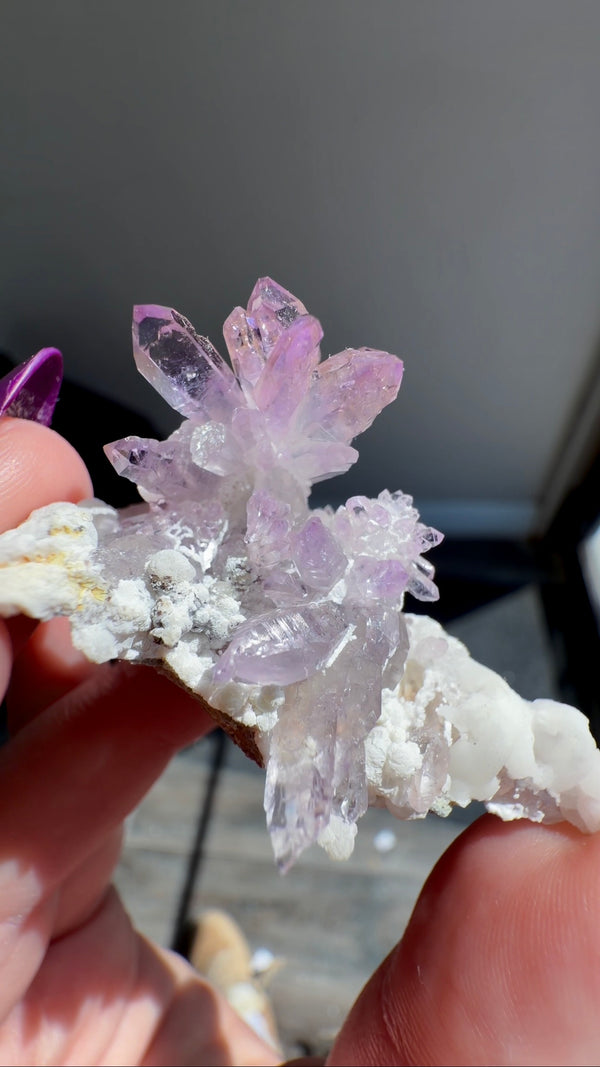 Amethyst "Flowers" with Sceptres, Reverse Sceptres & Calcite Associations on Matrix from "La Troje" Mine in Veracruz, Mexico (New Find!)