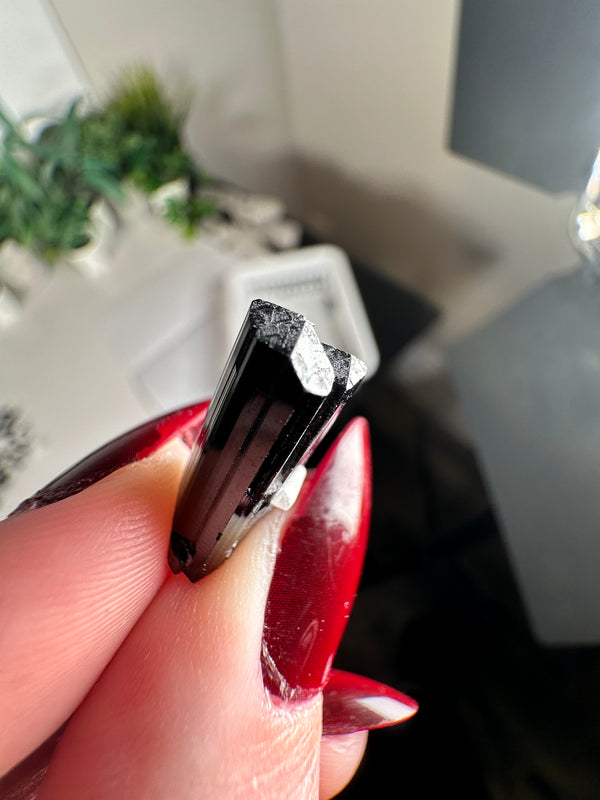 Terminated Black Tourmaline (Schorl) Specimens with Feldspar Inclusions from Skardu, Pakistan