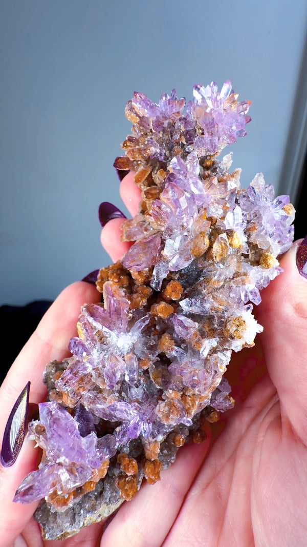 Amethyst "Flowers" with Sceptres, Reverse Sceptres & Calcite Associations on Matrix from "La Troje" Mine in Veracruz, Mexico (New Find!)