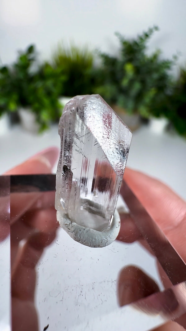 Gem Danburite Specimen from Aurora Mine, Charcas, San Luis Potosí, Mexico