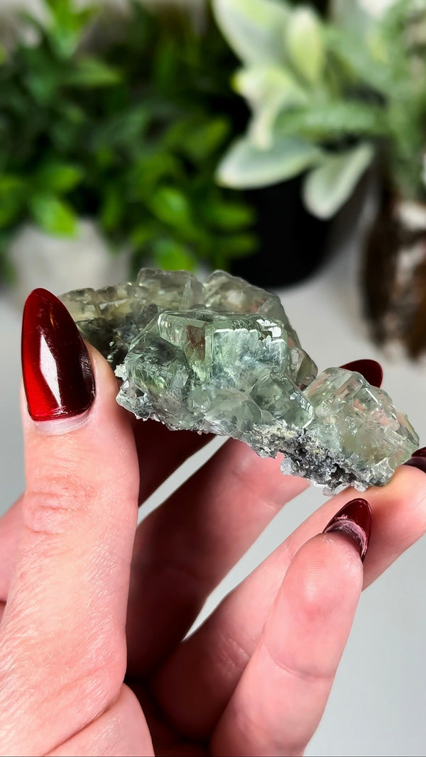 Glassy Green Fluorite with Beveled Edges from Xianghuapu Mine