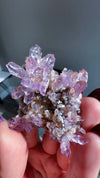 Amethyst "Flowers" with Sceptres, Reverse Sceptres & Calcite Associations on Matrix from "La Troje" Mine in Veracruz, Mexico (New Find!)