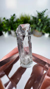 Gem Danburite Specimen from Aurora Mine, Charcas, San Luis Potosí, Mexico