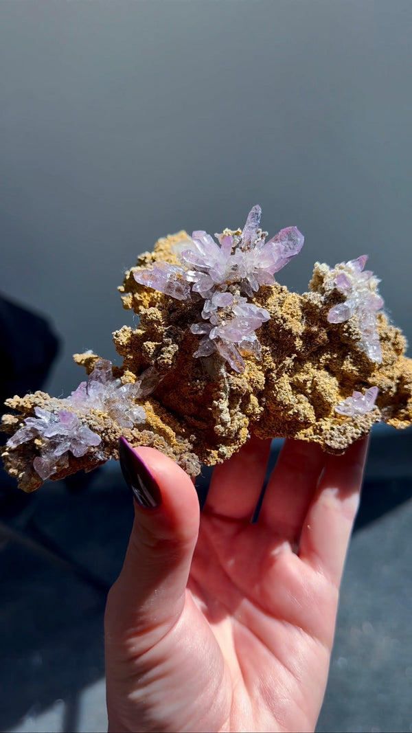 Amethyst "Flowers" with Sceptres, Reverse Sceptres & Calcite Associations on Matrix from "La Troje" Mine in Veracruz, Mexico (New Find!)