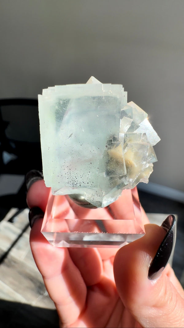 Fluorite with Bladed Calcite Inclusions from YGX Mine
