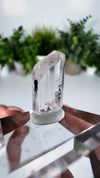 Gem Danburite Specimen from Aurora Mine, Charcas, San Luis Potosí, Mexico