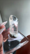 Gem Danburite Specimen from Aurora Mine, Charcas, San Luis Potosí, Mexico