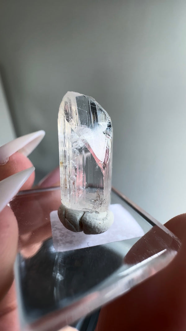 Gem Danburite Specimen from Aurora Mine, Charcas, San Luis Potosí, Mexico