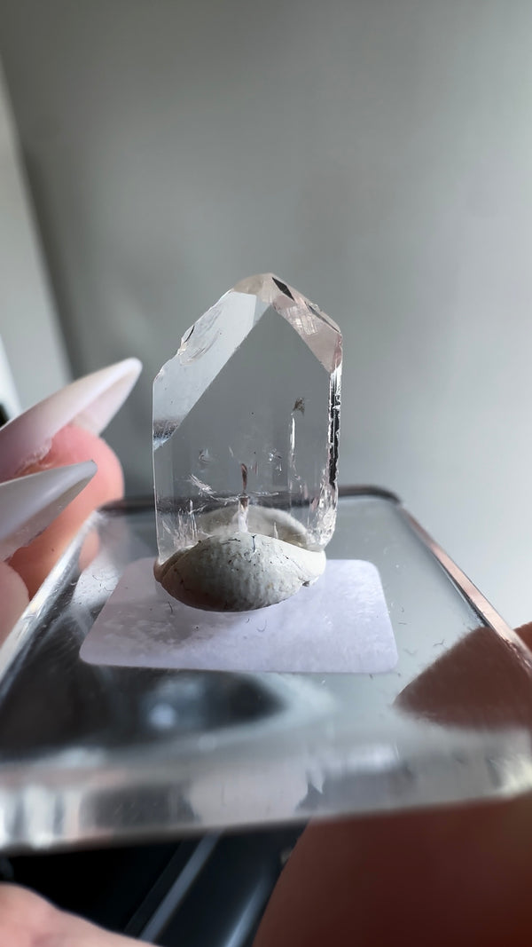 Gem Danburite Specimen from Aurora Mine, Charcas, San Luis Potosí, Mexico