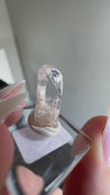 Gem Danburite Specimen from Aurora Mine, Charcas, San Luis Potosí, Mexico