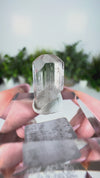 Gem Danburite Specimen from Aurora Mine, Charcas, San Luis Potosí, Mexico