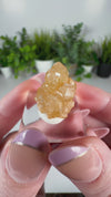 Grossular “Honey” Garnet — Hebei Province, China (2012 Find)
