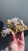 Amethyst "Flowers" with Sceptres, Reverse Sceptres & Calcite Associations on Matrix from "La Troje" Mine in Veracruz, Mexico (New Find!)