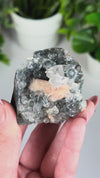 Black Diamond Apophyllite with Stilbite • Self-Standing Apophyllite, Stilbite & Black Chalcedony Crystal Specimen from India