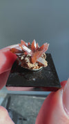Red Topaz Specimen from Tepetate, Villa de Arriaga Municipality, San Luis Potosí, Mexico