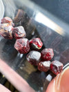 Raw Almandine Garnet Gem Bottles (10 pcs) • 10 Piece Bulk Set of Mini Red Almandine Garnet Specimens from Pakistan