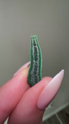 Malachite Stalactite from Shilu Mine, Yangchun County, Yangjiang, Guangdong, China