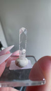 Gem Danburite Specimen from Aurora Mine, Charcas, San Luis Potosí, Mexico