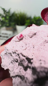 Scarlet Emerald on Rhyolite Matrix (Red Beryl/Bixbite) from Thomas Range, Utah