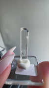 Gem Danburite Specimen from Aurora Mine, Charcas, San Luis Potosí, Mexico