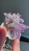 Amethyst "Flowers" with Sceptres, Reverse Sceptres & Calcite Associations on Matrix from "La Troje" Mine in Veracruz, Mexico (New Find!)