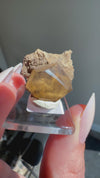 Calcite from North Vernon, Jennings County, Indiana, USA